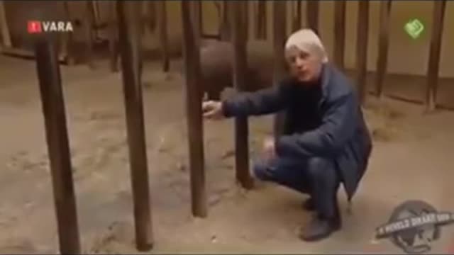 When Animals Outsmart Humans..