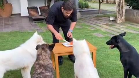 Dhoni with dogs