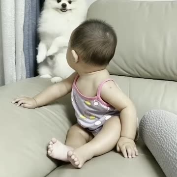 Cute dog and Baby short Video