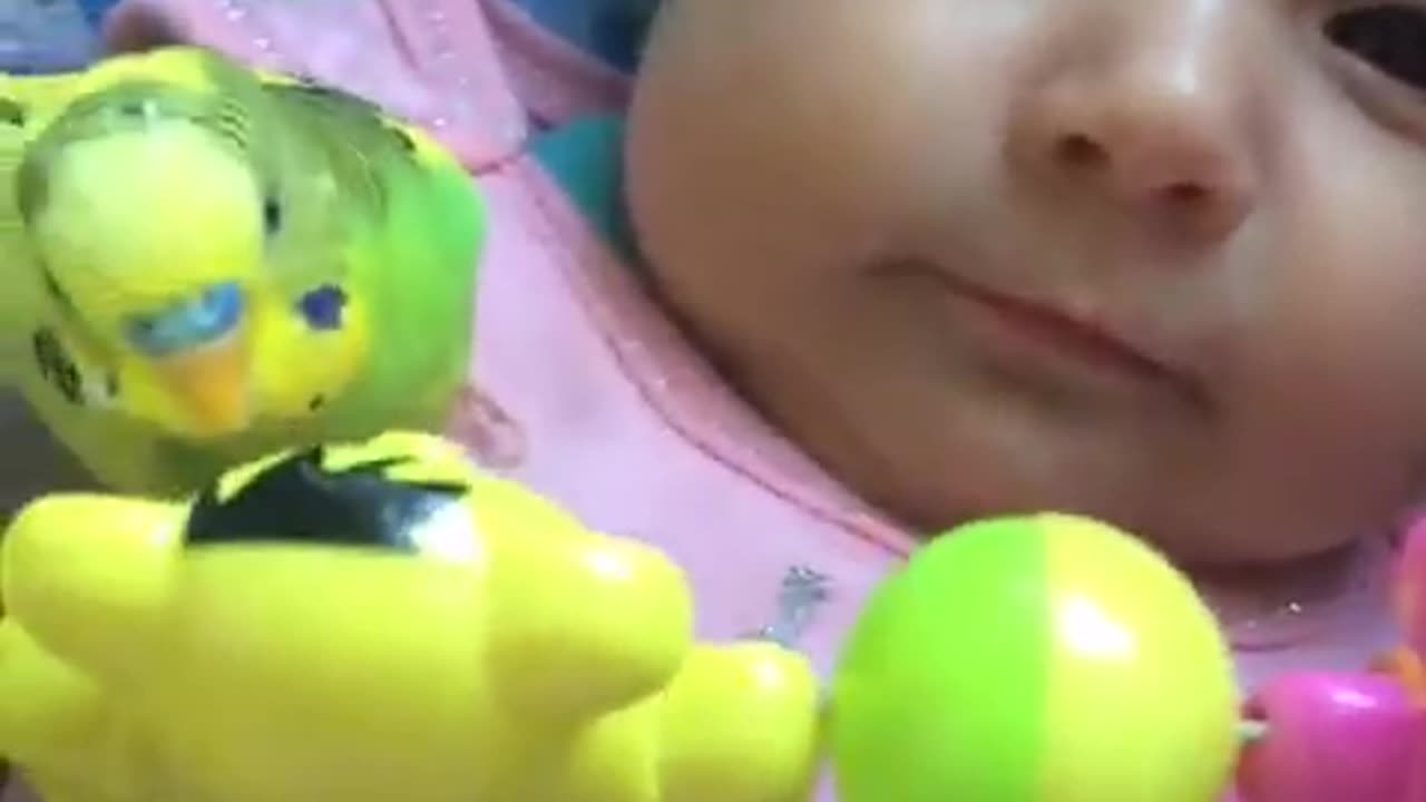 Child and parrot!!!!