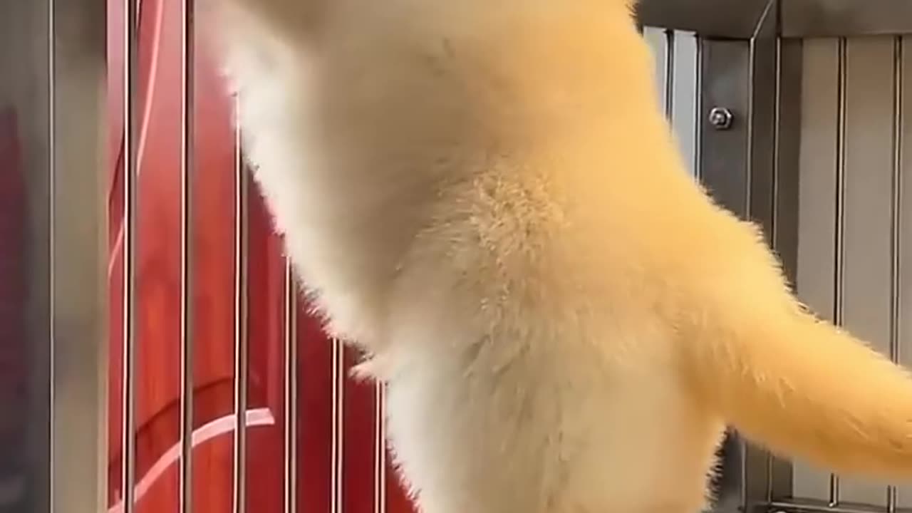 OPPS I FARTED AGAIN