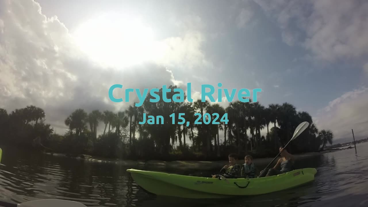 Crystal River Manatees