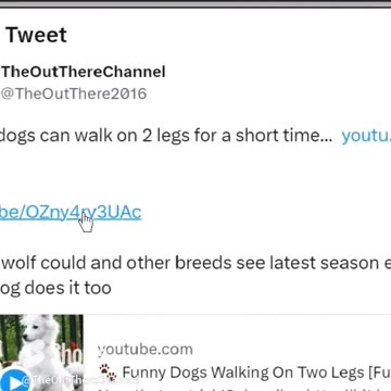 Could werewolf be just wild dogs that learnt to walk upright examples given if broke front legs
