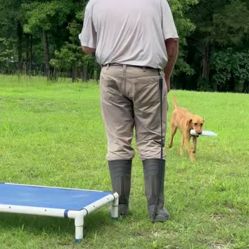 Tater with Bailey After Illness