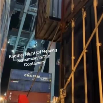 Screaming heard on containers