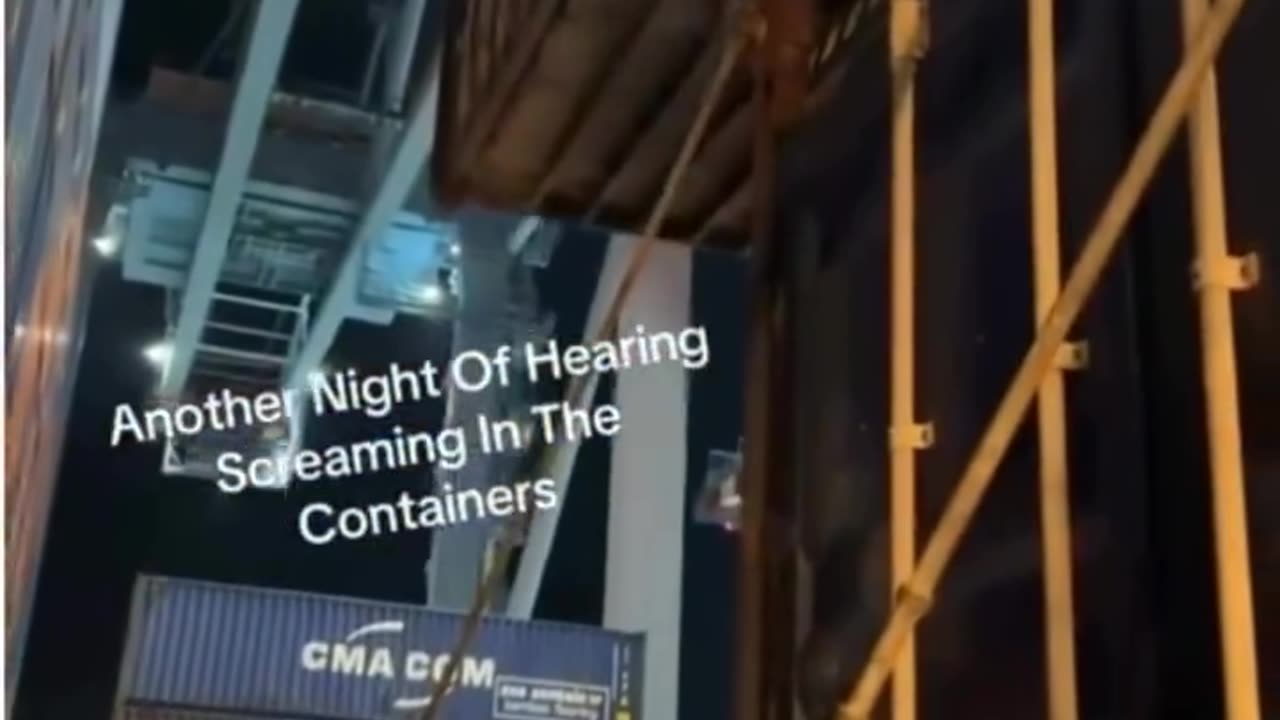 Screaming heard on containers