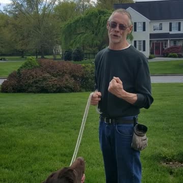 Murphy's 5 Points of the Paw part 2