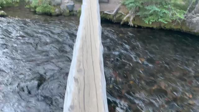 Central Oregon - Three Sisters Wilderness - Green Lakes - Don't Fall on This Log Crossing