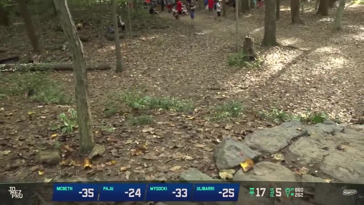 INSANELY GOOD DISC GOLF DRIVES COMPILATION