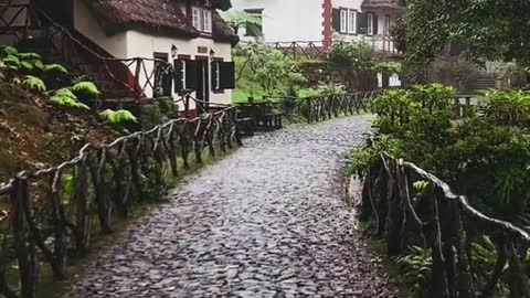 A place you cannot miss when in Madeira,