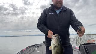 March 27 - 2022 Delta 7 lbs Bass Flipping Jig