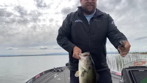 March 27 - 2022 Delta 7 lbs Bass Flipping Jig