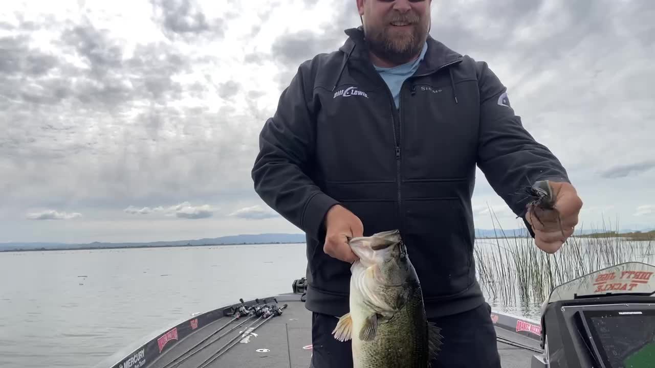 March 27 - 2022 Delta 7 lbs Bass Flipping Jig