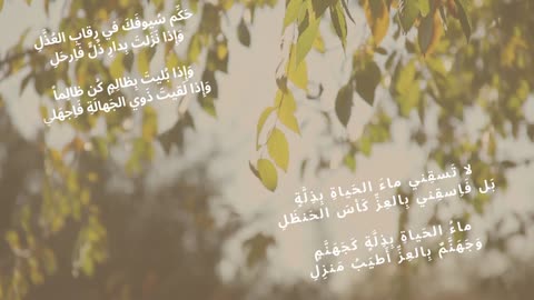عنترة بن شداد || عن الكرامة (( حَكِّم سُيوفَكَ في رِقابِ العُذَّلِ ))