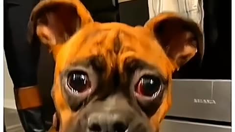 #Useful#Beautiful#Funny #Funny video#laugh# interesting#video#short video#short#short cut