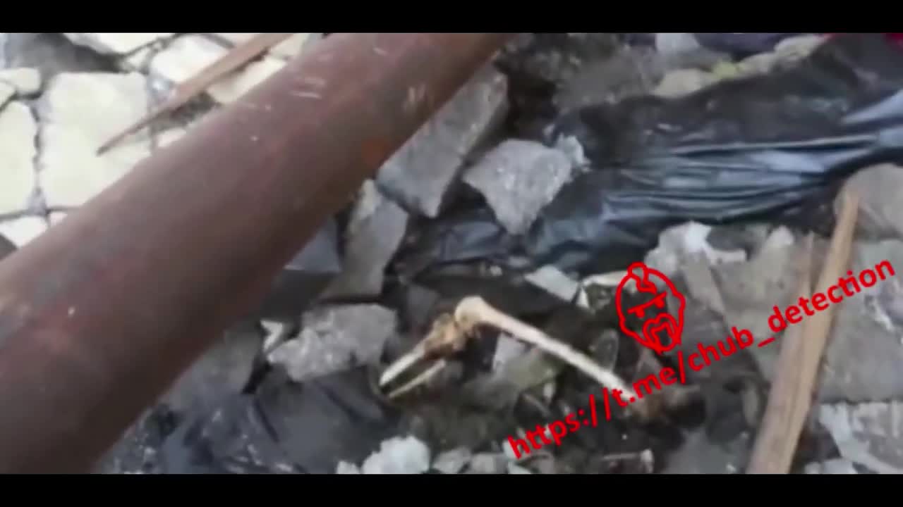 GRAPHIC: Killed Azov Nazis ends up as dogfood at Azovstal