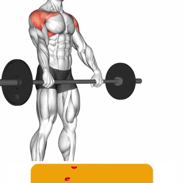 Unlock Wider Shoulder #shoulderworkout #shoulderexercises #shoulder #gymmotivation #shorts #gym