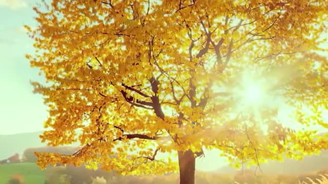 The wind has tasted of winter, and the year is drawing to a close
