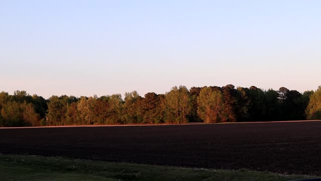 nature 4-20-2022 p2