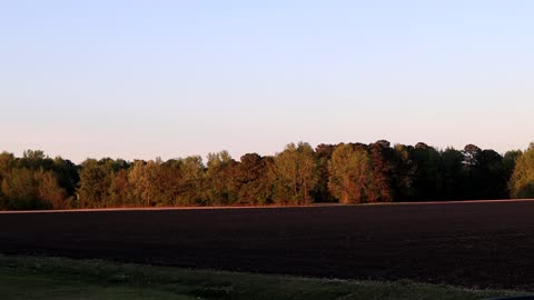 nature 4-20-2022 p2