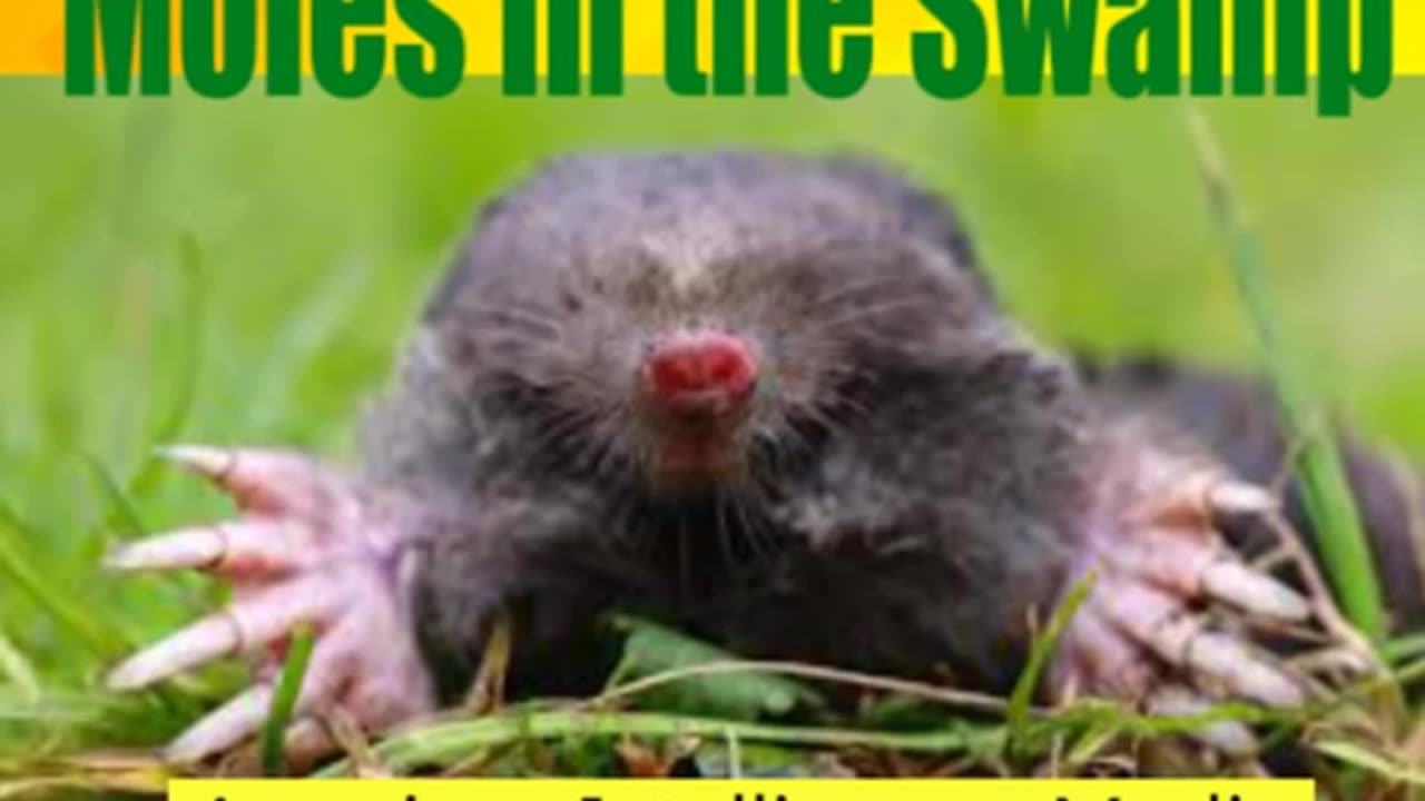 Moles Unplug Hole in the Swamp