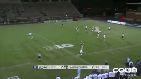 видео приколы
