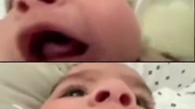TikToks from https://www.tiktok.com/