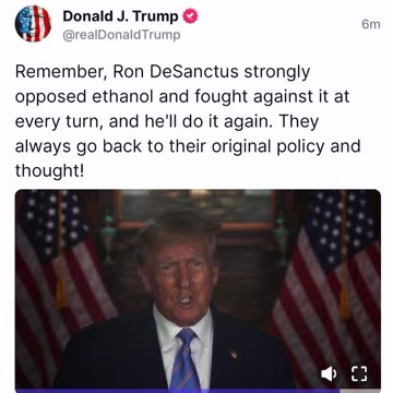 Mitt Romney lover 🤣