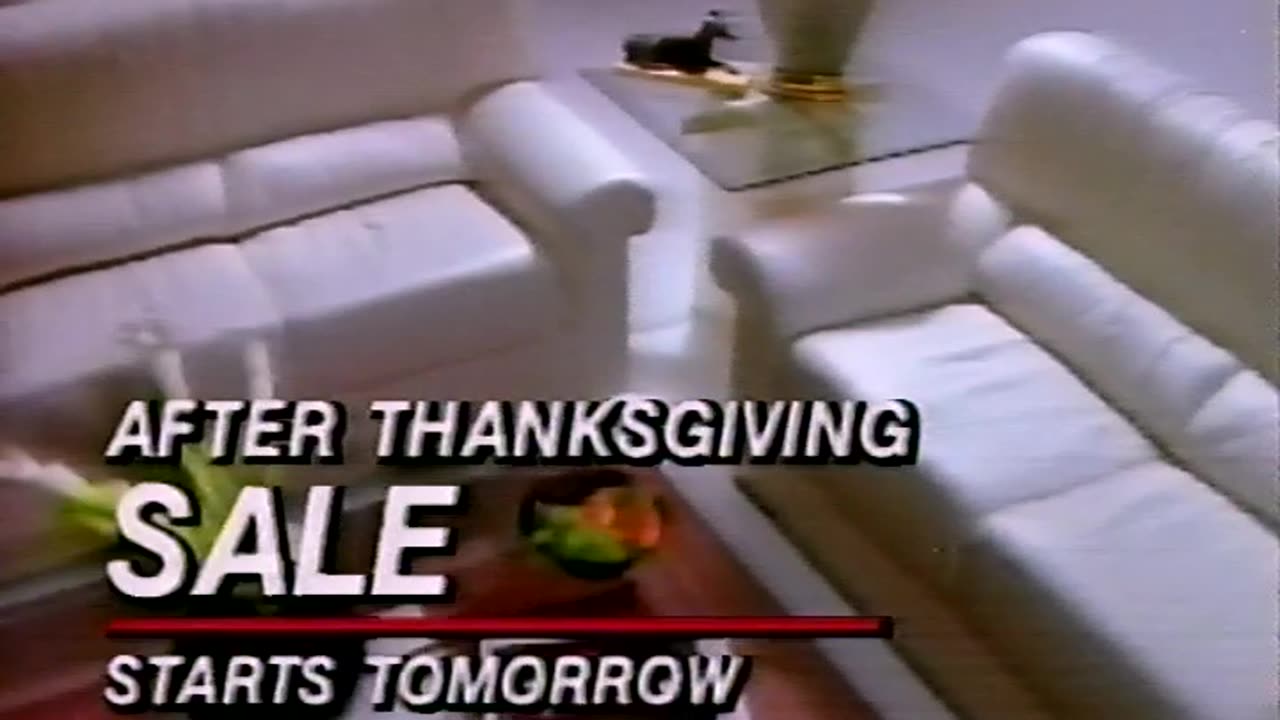 November 22, 1990 - LS Ayres After Thanksgiving Sale