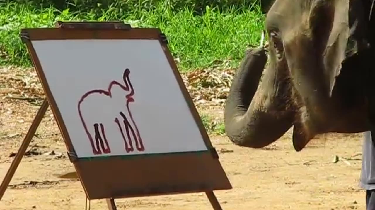 f#Suda:The painting elephant#