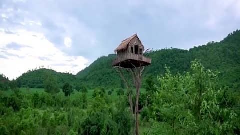 How to build tree house in forest