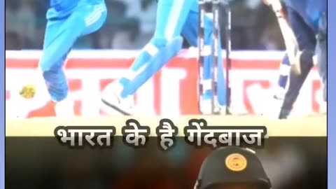 Cricket 🏏