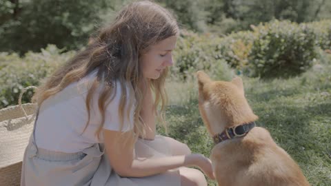 Couple picnic with dog