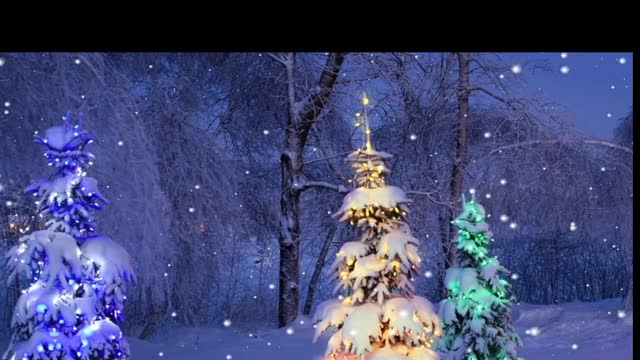 Christmas tree is very butiful