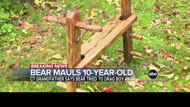 A 10-year-old boy was mauled by a bear in his grandparents' backyard in Connecticut.