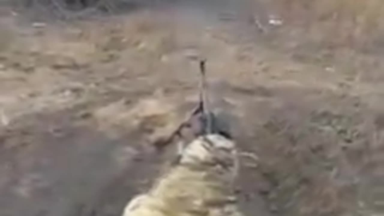 🇺🇦🇷🇺🚨‼️ Chechen soldiers shoot down a FPV drone.