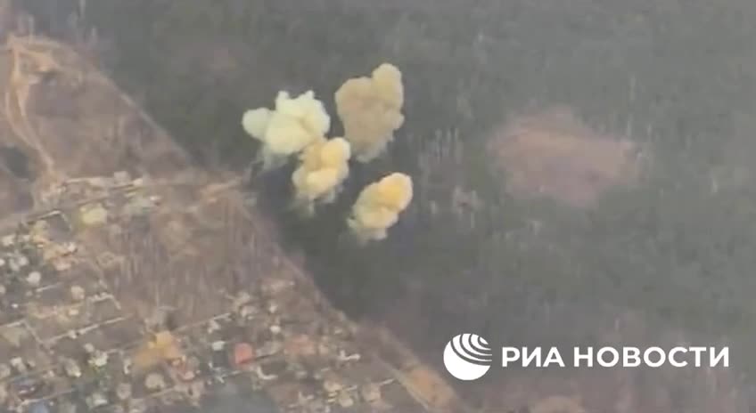 Ukrainian fortifications hidden in forested areas near Kiev have been destroyed