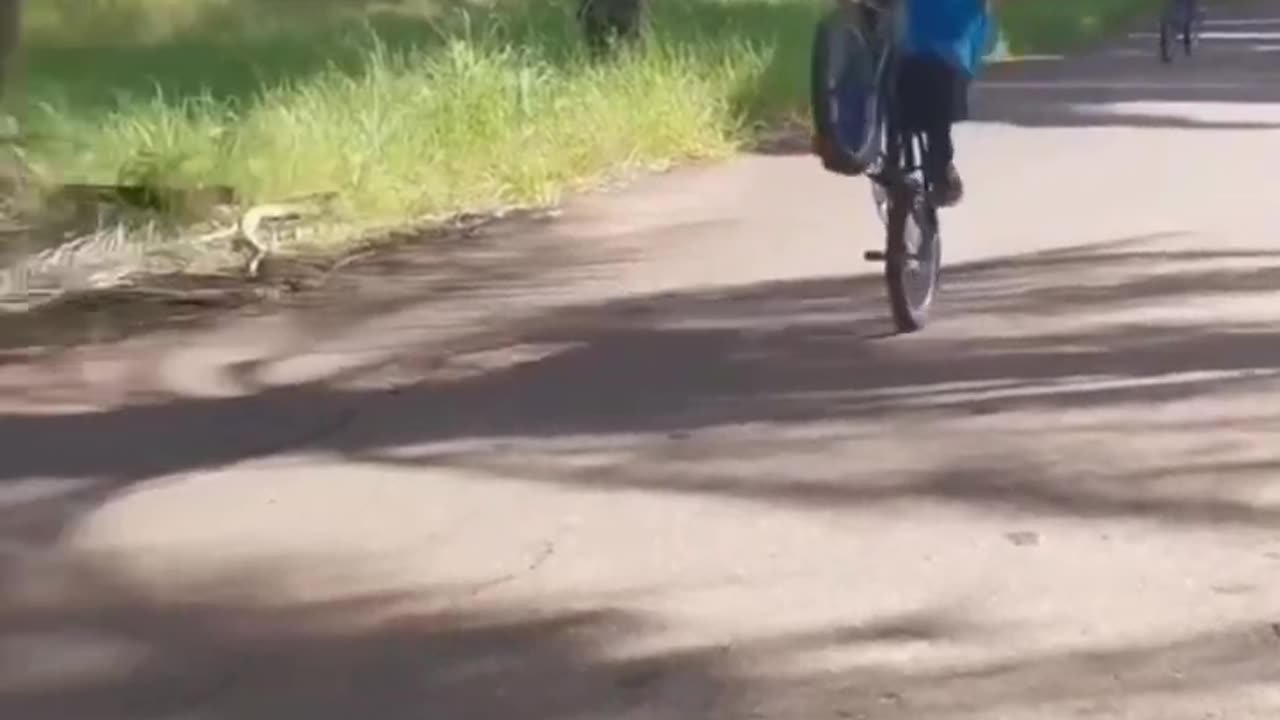 Funny Babies Gone Wild_ Watch Their Adorable Antics Unfold