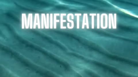 Manifest your destination