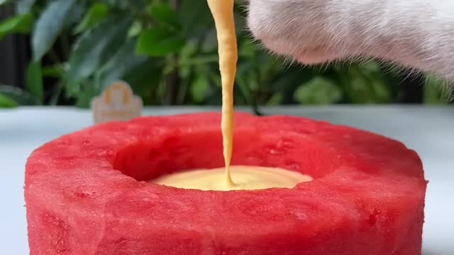 😲REAL Fruit Cake + Mango Latte, So Perfect!😻 | Chef Cat Cooking #tiktok #Shorts