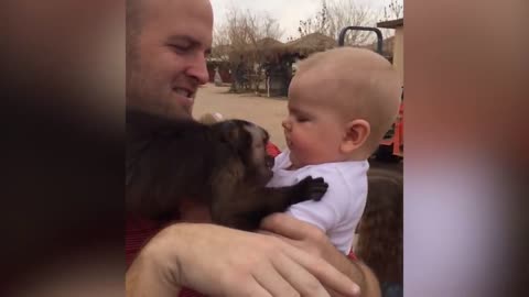 TRY NOT TO LAUGH - Funny Baby With Animal #2 | Belly Baby Video Compilation 2020