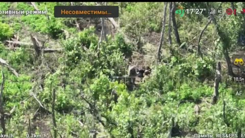 Novomikhailovka_08.08.2023