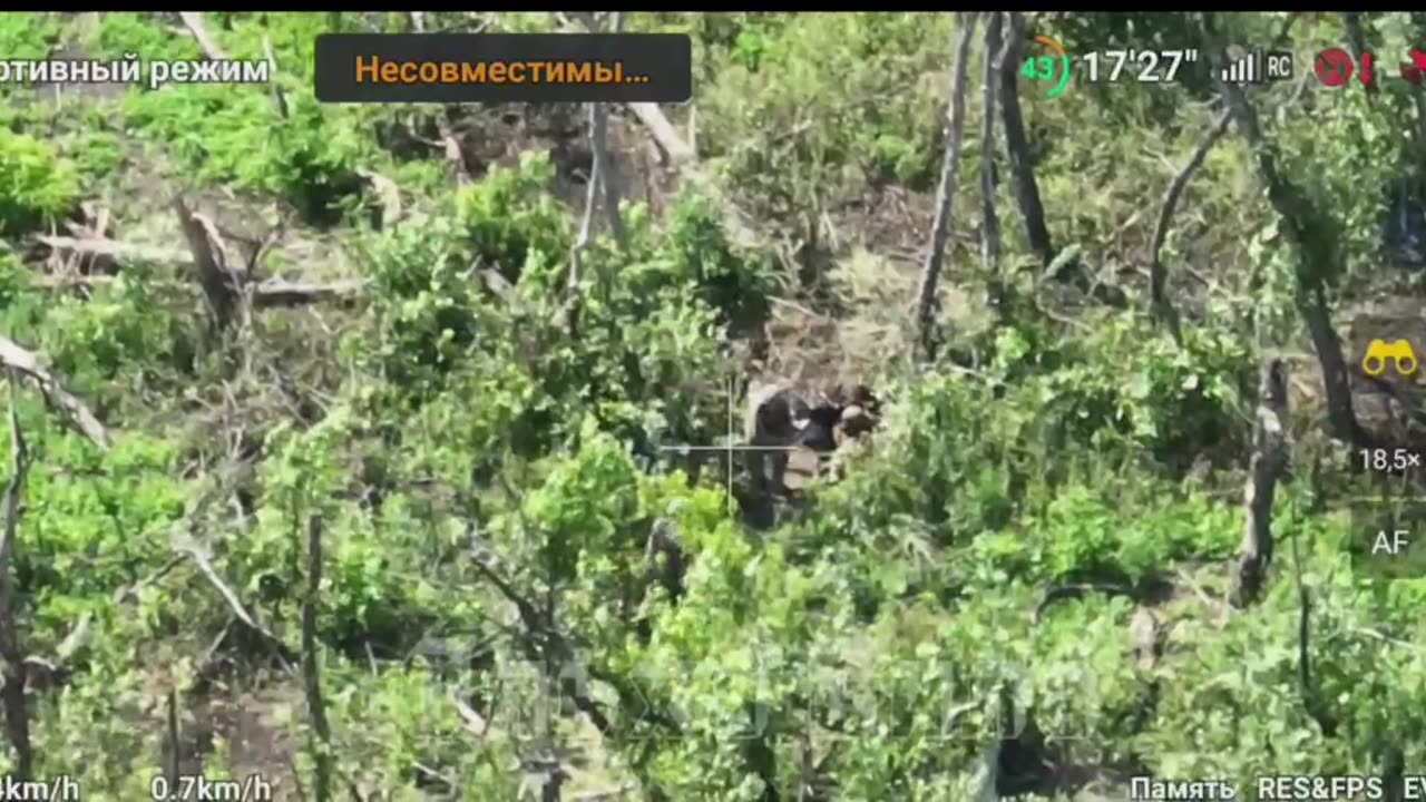 Novomikhailovka_08.08.2023
