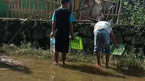 the flood slowly began to recede, the children around tried to catch fish part2