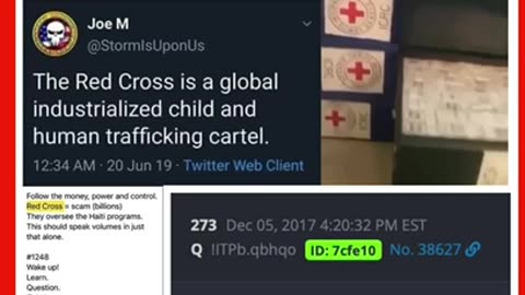 The Red Cross is a global industrialized child & human trafficking cartel.