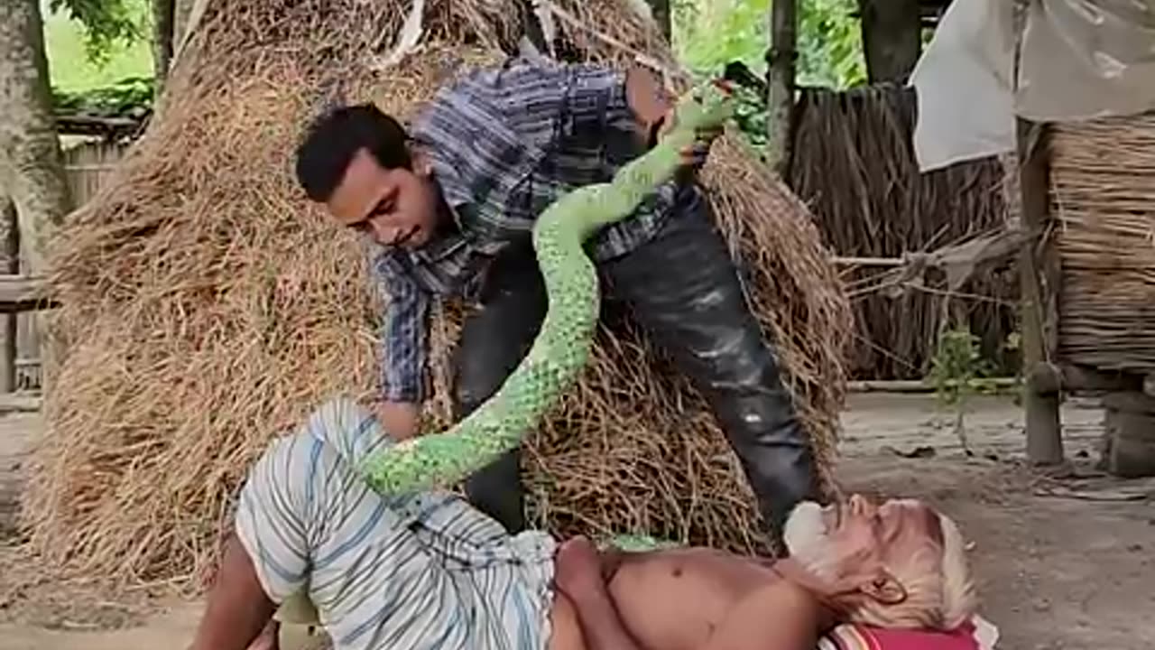 King kobra snake prank funny video