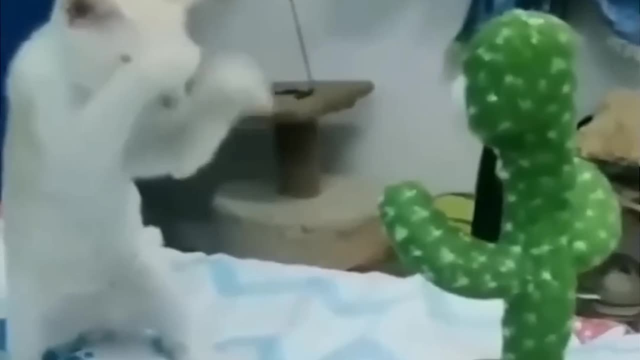 Funny Animals video... 😂🤣😂