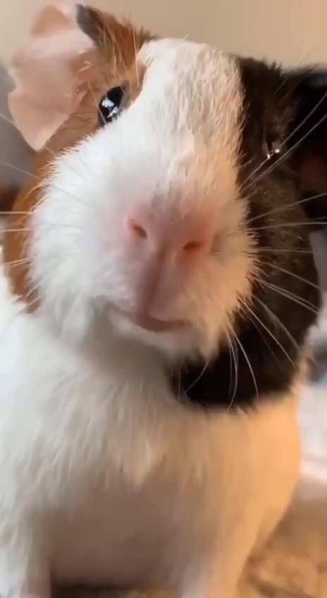 When my sinus issues kick in 😔😔