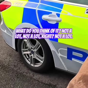 Banned, Muzzled, XLBully Pup Meets The Police In Graveyard 👮 #dog #xlbully #puppy