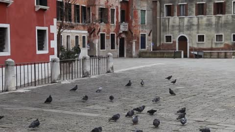 Venice